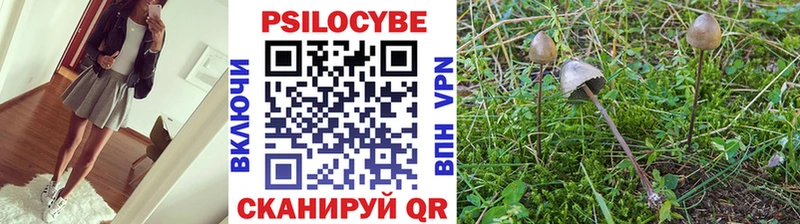 Купить закладки  Козловка  Галлюциногенные грибы GOLDEN TEACHER 